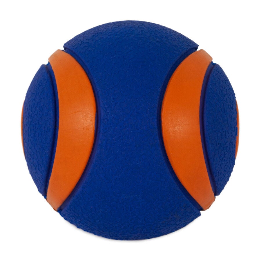 Chuckit! Ultra Squeaker Pelota con Sonido y Rebote para perros, , large Imagen numero 4